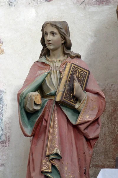 圣徒约翰雕像 — 图库照片