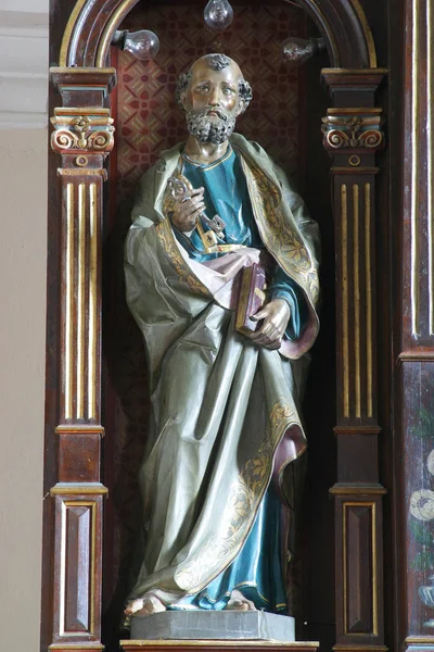 Saint peter standbeeld — Stockfoto