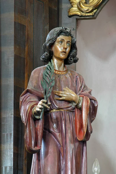 Saint Vitus statue — Stock Photo, Image