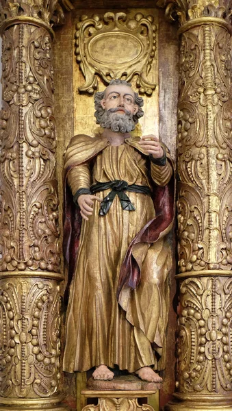 Saint Peter the Apostle — Stock Photo, Image