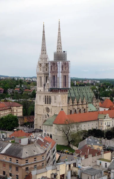 De troende står i kø foran katedralen for å se liket av St. Leopold Mandic, Zagreb – stockfoto
