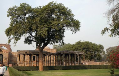 Qutab Minar kompleksi, Delhi, India.