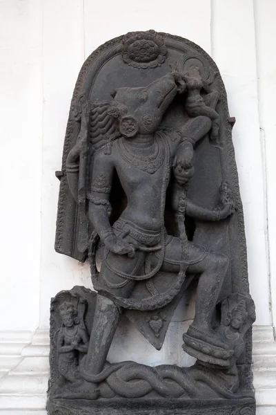 Varahavatara Yüzyıla Bulundu Surajkund Nalanda Şimdi Maruz Kızılderili Müzesi Kolkata — Stok fotoğraf