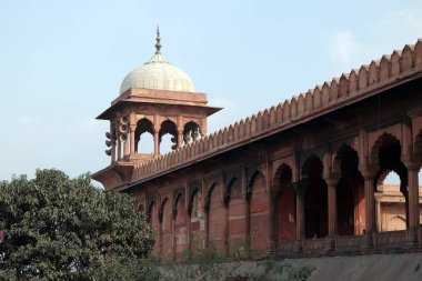 Muhteşem mimarisi, büyük Cuma Camii (Jama Mescidi), Delhi, India.