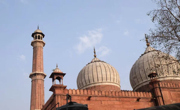 Arquitetura Espetacular Grande Mesquita Sexta Feira Jami Masjid Delhi Índia — Fotografia de Stock