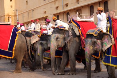 Jaipur, Rajasthan, Hindistan, Amber Fort turist 16 Şubat 2016 üzerinde bekleyen filler dekore edilmiş.