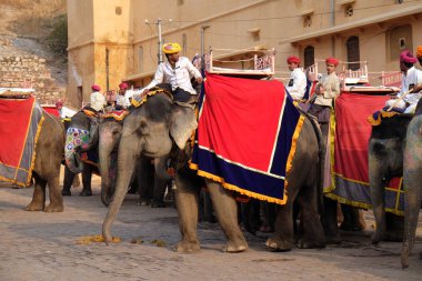 Jaipur, Rajasthan, Hindistan, Amber Fort turist 16 Şubat 2016 üzerinde bekleyen filler dekore edilmiş.