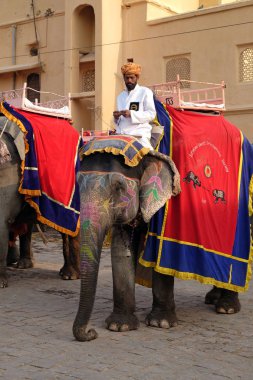Jaipur, Rajasthan, Hindistan, Amber Fort turist 16 Şubat 2016 üzerinde bekleyen filler dekore edilmiş.