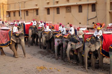 Jaipur, Rajasthan, Hindistan, Amber Fort turist 16 Şubat 2016 üzerinde bekleyen filler dekore edilmiş.