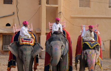 16 Şubat 2016 üzerinde Jaipur, Rajasthan, Hindistan, Amber Fort turist taşıyan filler dekore edilmiş.