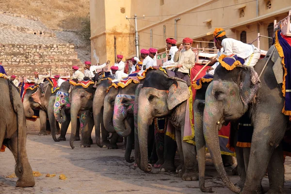 Jaipur, Rajasthan, Hindistan, Amber Fort turist 16 Şubat 2016 üzerinde bekleyen filler dekore edilmiş.