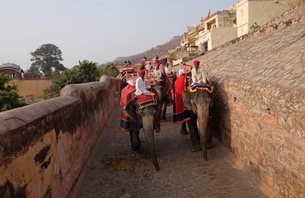 Elefantes Decorados Transportando Turistas Amber Fort Jaipur Rajasthan Índia Fevereiro — Fotografia de Stock