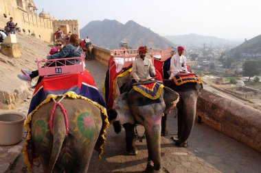16 Şubat 2016 üzerinde Jaipur, Rajasthan, Hindistan, Amber Fort turist taşıyan filler dekore edilmiş.