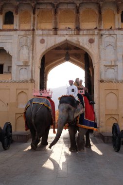 16 Şubat 2016 üzerinde Jaipur, Rajasthan, Hindistan, Amber Fort turist taşıyan filler dekore edilmiş.
