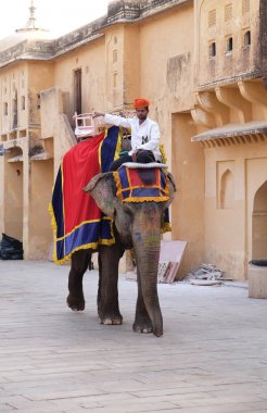 16 Şubat 2016 üzerinde Jaipur, Rajasthan, Hindistan, Amber Fort turist taşıyan filler dekore edilmiş.