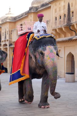 16 Şubat 2016 üzerinde Jaipur, Rajasthan, Hindistan, Amber Fort turist taşıyan filler dekore edilmiş.
