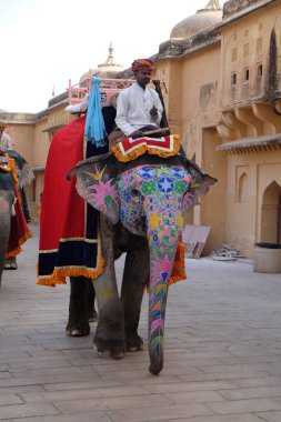 16 Şubat 2016 üzerinde Jaipur, Rajasthan, Hindistan, Amber Fort turist taşıyan filler dekore edilmiş.
