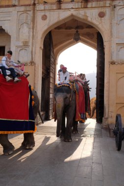 16 Şubat 2016 üzerinde Jaipur, Rajasthan, Hindistan, Amber Fort turist taşıyan filler dekore edilmiş.
