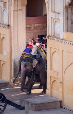16 Şubat 2016 üzerinde Jaipur, Rajasthan, Hindistan, Amber Fort turist taşıyan filler dekore edilmiş.