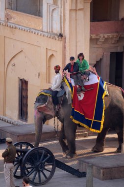 16 Şubat 2016 üzerinde Jaipur, Rajasthan, Hindistan, Amber Fort turist taşıyan filler dekore edilmiş.