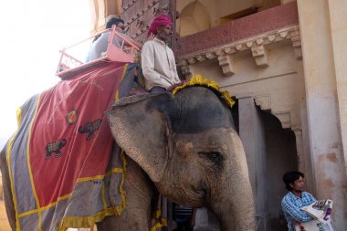 16 Şubat 2016 üzerinde Jaipur, Rajasthan, Hindistan, Amber Fort turist taşıyan filler dekore edilmiş.