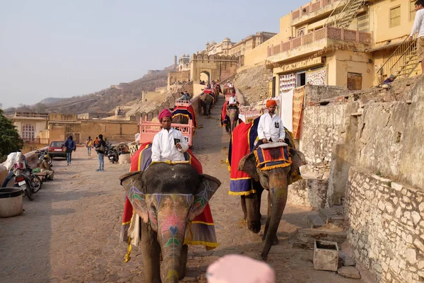 Elefantes Decorados Transportando Turistas Amber Fort Jaipur Rajasthan Índia Fevereiro — Fotografia de Stock