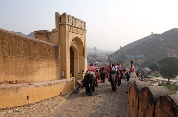 Elefantes Decorados Esperando Turistas Amber Fort Jaipur Rajasthan Índia Fevereiro — Fotografia de Stock