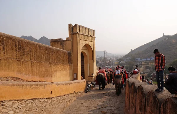 Zdobione Słonie Czeka Turystów Amber Fort Jaipur Rajasthan Indie Lutego — Zdjęcie stockowe