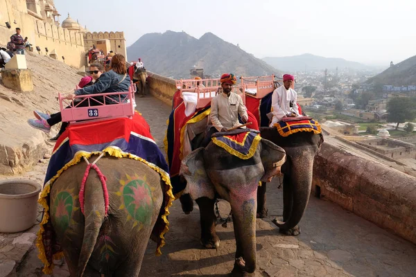 Elefantes Decorados Transportando Turistas Amber Fort Jaipur Rajasthan Índia Fevereiro — Fotografia de Stock