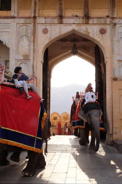 Elefantes Decorados Transportando Turistas Amber Fort Jaipur Rajasthan Índia Fevereiro — Fotografia de Stock