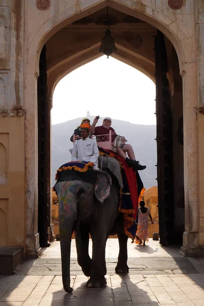 Elefantes Decorados Transportando Turistas Amber Fort Jaipur Rajasthan Índia Fevereiro — Fotografia de Stock