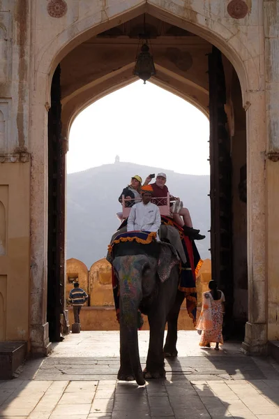 Elefantes Decorados Transportando Turistas Amber Fort Jaipur Rajasthan Índia Fevereiro — Fotografia de Stock