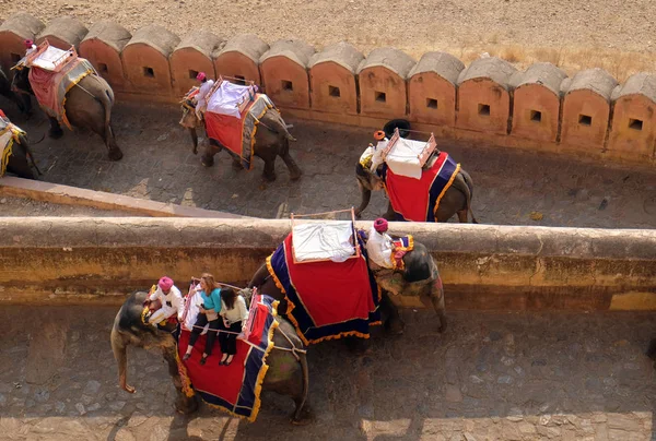 Díszített Elefántok Folytató Turisták Jaipur Rajasthan India Amber Fort Február — Stock Fotó