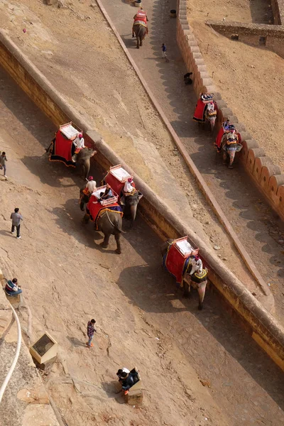 Elefantes Decorados Esperando Turistas Amber Fort Jaipur Rajasthan Índia Fevereiro — Fotografia de Stock