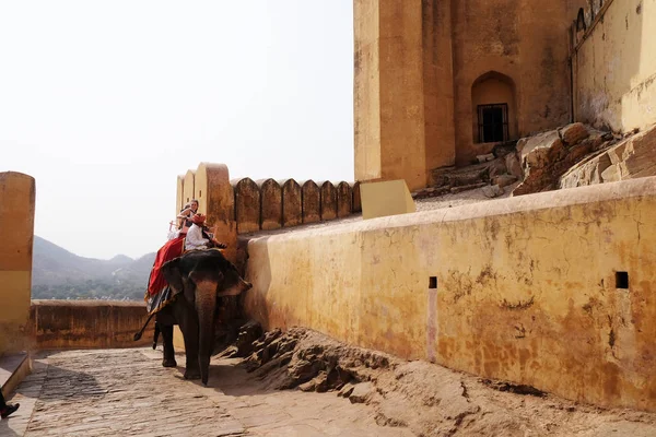 Elefantes Decorados Transportando Turistas Amber Fort Jaipur Rajasthan Índia Fevereiro — Fotografia de Stock