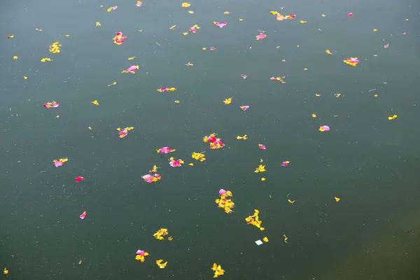 Colourful Floral Offerings Petals Flowers Garlands Floating Pushkar Lake Rajasthan — Stock Photo, Image