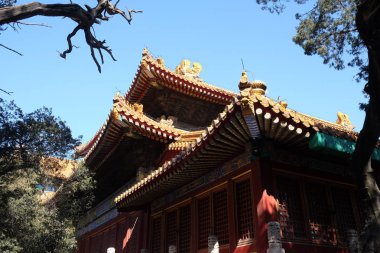 Döşenmiş çatı ve cephe Çinli bir desen ile dekore edilmiştir. Sarayda yasak şehir, Beijing, Çin.