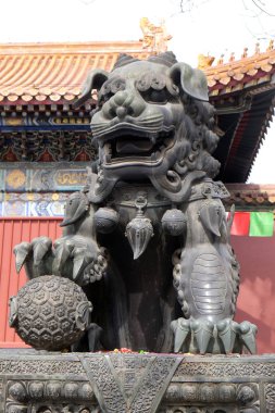 Bronz İmparatorluk aslan Lama Temple Yonghe Lamasery kapısında. Pekin, Çin için dünyanın en büyük ve en önemli Tibet Budist manastırları biridir.
