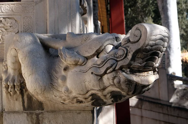 A stone Chinese dragon\'s head on a wall in Forbidden City, Beijing, China.