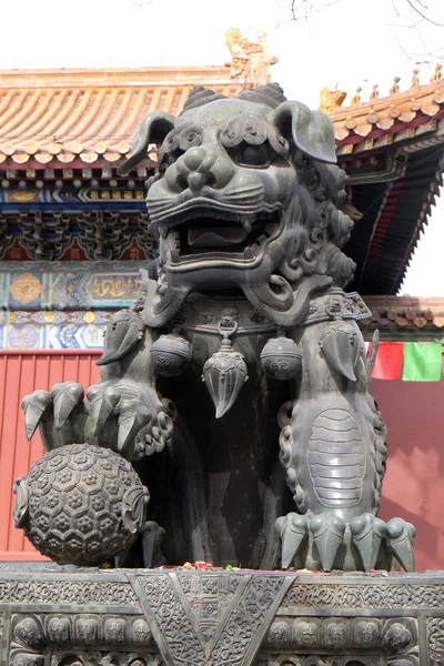Kejserliga Bronslejon Vid Porten Till Lama Temple Yonghe Lamasery Det — Stockfoto