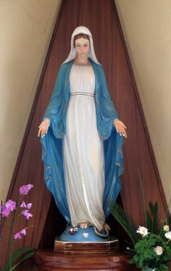 St Paul Katedrali Tiran, Arnavutluk Meryem heykeli.