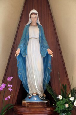 St Paul Katedrali Tiran, Arnavutluk Meryem heykeli.