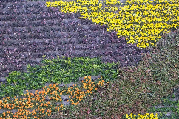 Красиві Барвисті Квіти Візерунок Фоні Стіни Шанхаї Китай — стокове фото