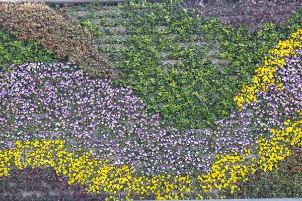 Hermoso Patrón Flores Colores Fondo Pared Shanghai China — Foto de Stock