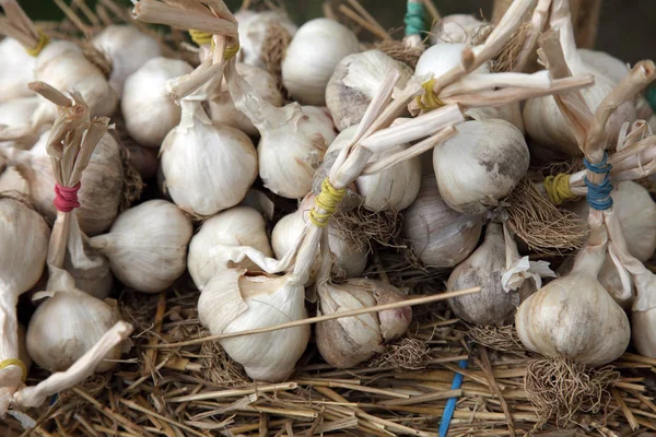 Garlic Exposed Sale — Stock Photo, Image