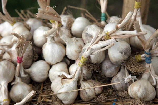 Garlic Exposed Sale — Stock Photo, Image