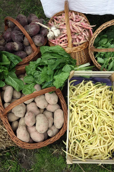 Diferentes Tipos Vegetais Para Venda — Fotografia de Stock