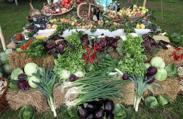 Garden Harvest Homegrown Produce Exposed Event Dionysius Ceremony Scitarjevo Croatia — Stock Photo, Image