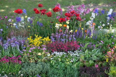 Bahçedeki çiçekler