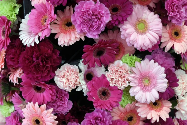 Krásné Květiny Zblízka — Stock fotografie